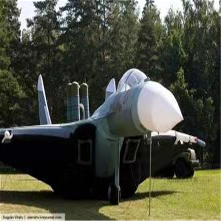 凉州充气模型飞机制造商家